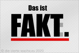 Fakt versus Fake