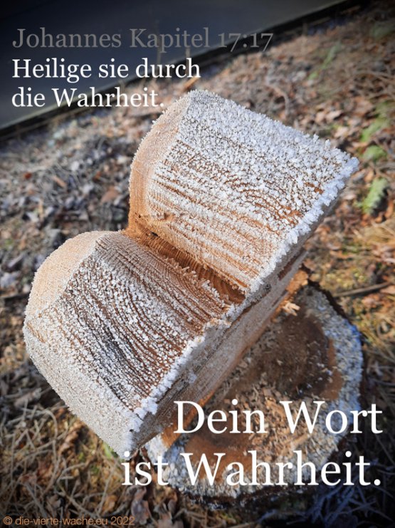 Dein Wort ist Wahrheit