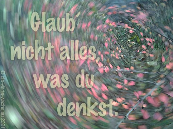 Glaub nicht alles was du denkst