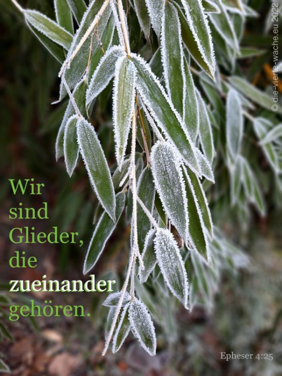 Wir sind Glieder, die zueinander gehören