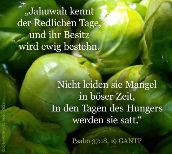 Psalm 37: Der Gerechte leidet keinen Mangel