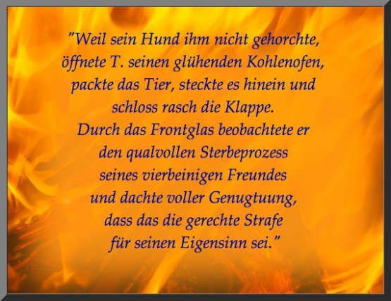 Text: ein Mann quält seinen Hund im Feuerofen