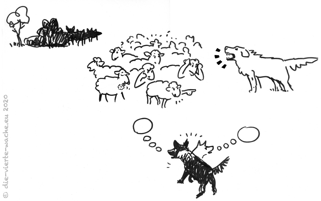 Was denkt der Hütehund? Was sagen die Schafe?